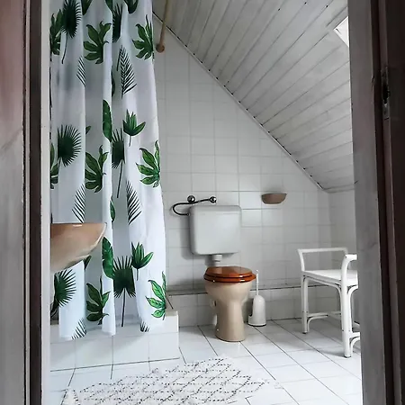 Belysium Panzio 3* Gyenesdiás