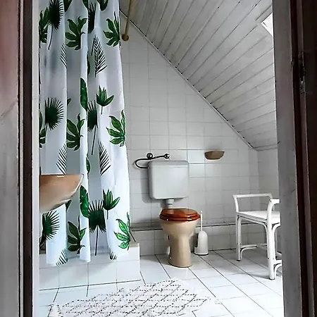 Bed & Breakfast Belysium Panzio
