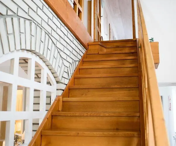 לינה וארוחת בוקר Belysium Panzio 3*