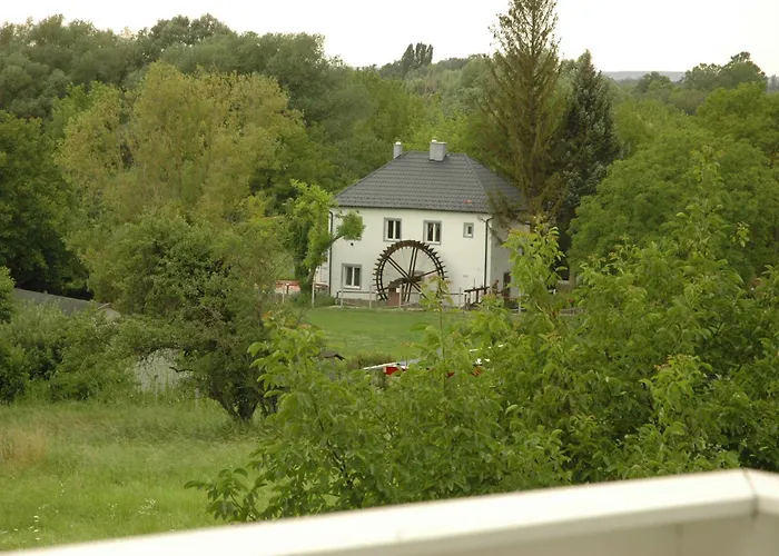 Belysium Panzio גיינסדיאס