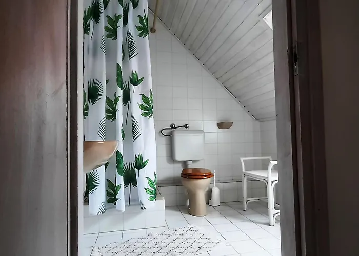 Belysium Panzio 3* גיינסדיאס